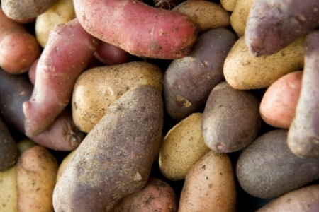 Image de la catégorie Pommes de terre