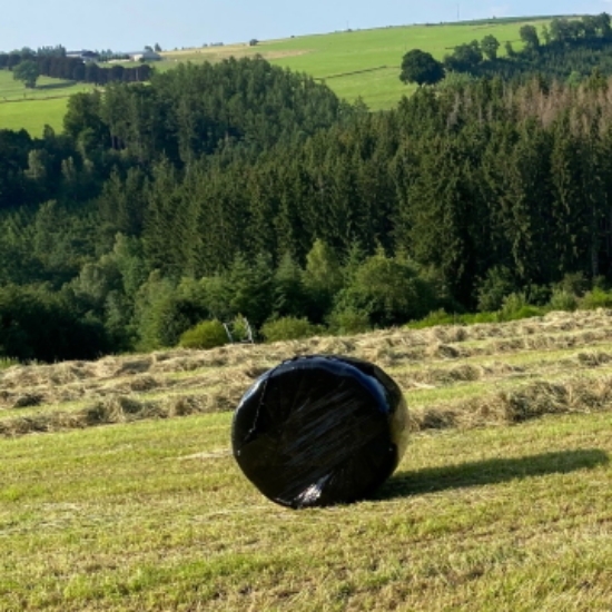 Image de Boule de préfané BIO 