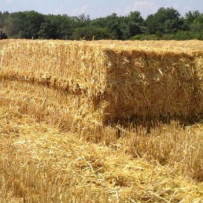 Image de Gros ballot de paille BIO  