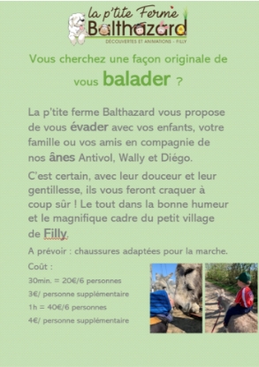 Image de Balade avec les ânes
